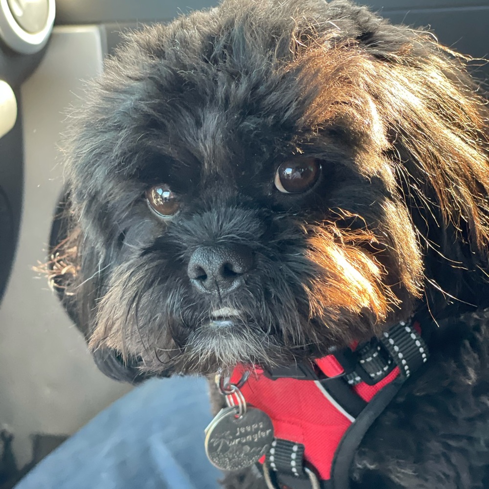 Meet your Posher, Beth